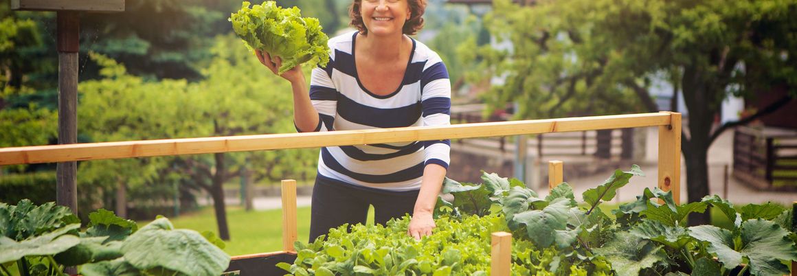 Frau hält Salat in der Hand über vollem Hochbeet